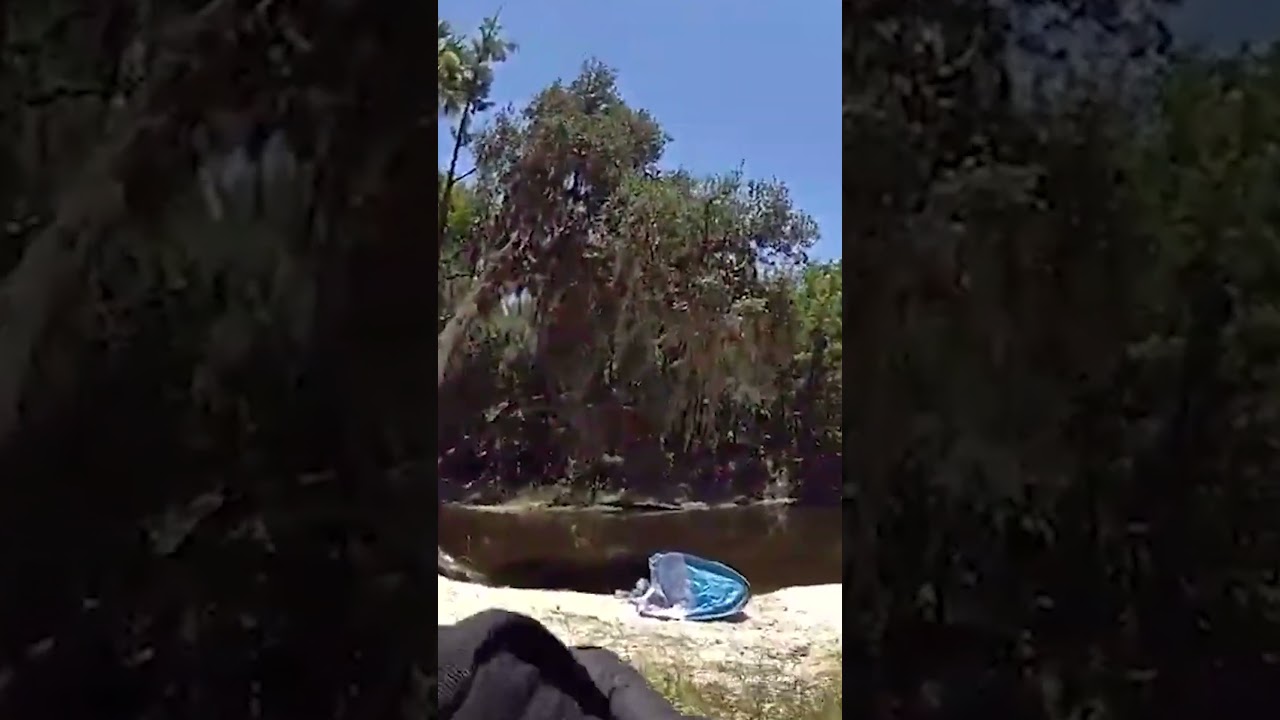 New Bodycam Shows Florida Deputy Try to Save Woman Suffering from Gator Attack #shorts