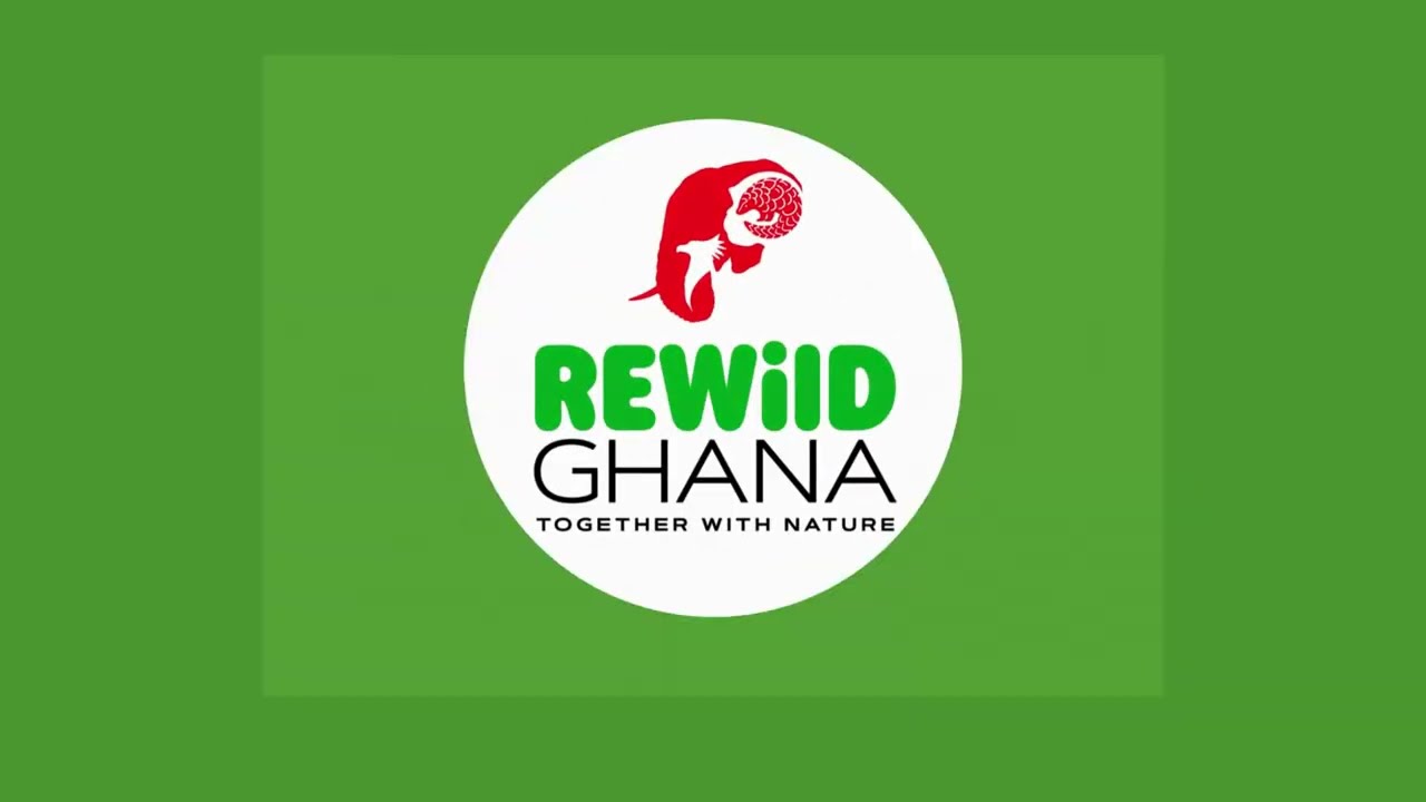 Rewild Video