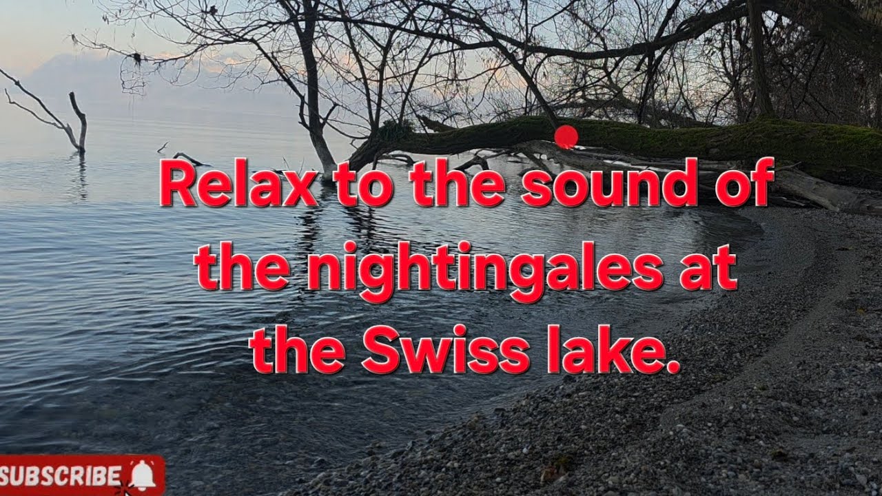Relax to the sound of the nightingales at the Swiss lake.