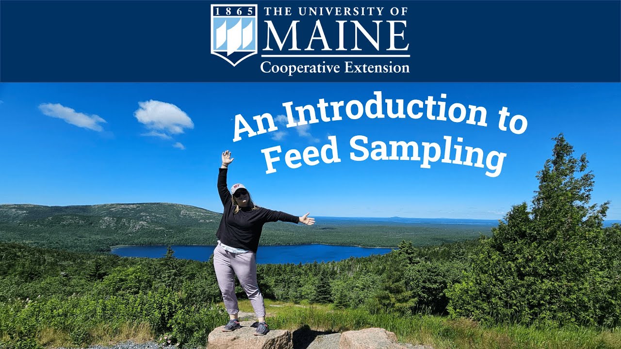Introduction to Feed Sampling