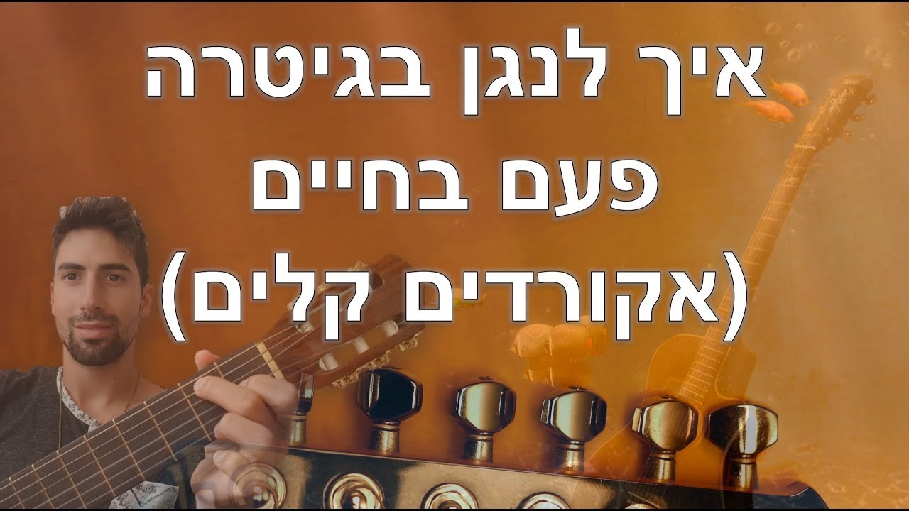 פעם בחיים אקורדים קלים | איך לנגן בגיטרה למתחילים - רמה 3