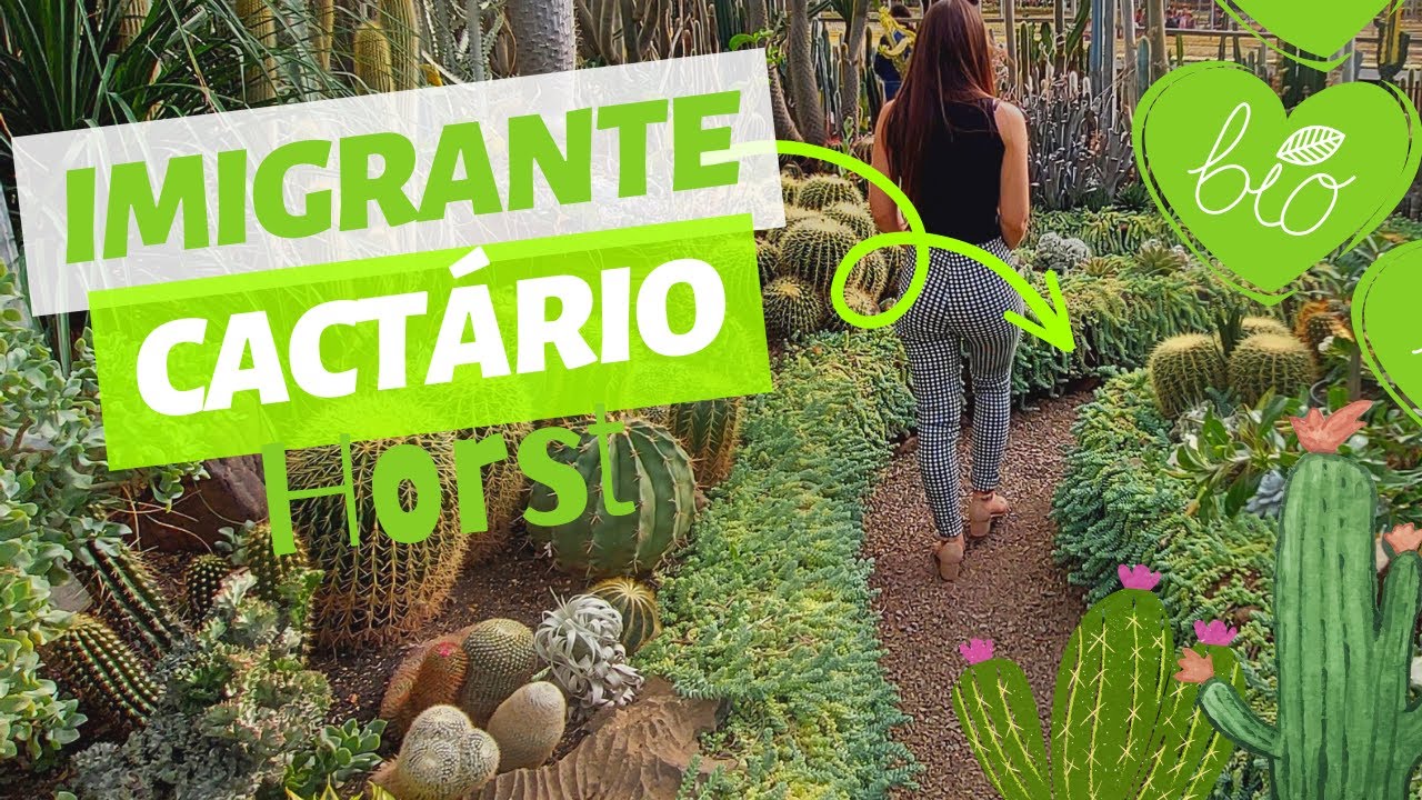 Imigrante RS - Cactário Horst - o MAIOR cactário da AMÉRICA LATINA