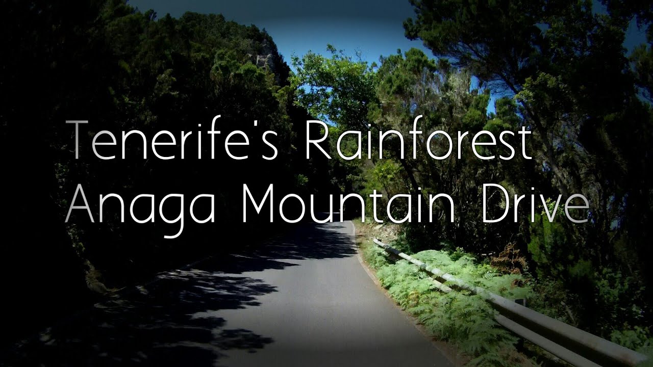 Tenerife's Rainforest, Anaga mountain drive Tenerife, non stop