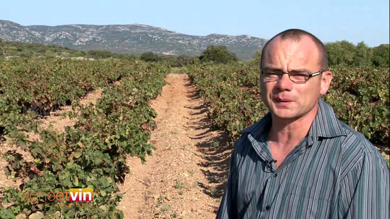 Château Champ des Soeurs Fitou dans l'Aude - Terroirs et patrimoine : vignoble fitou