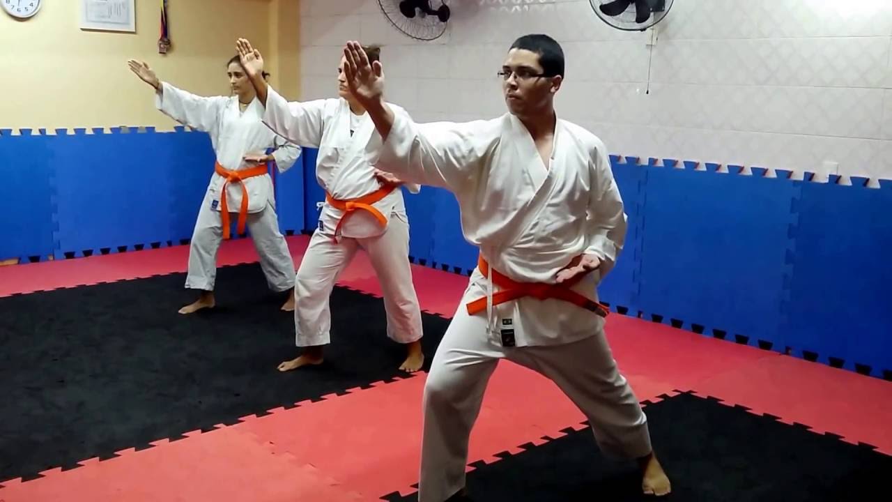 Kihon 5 Faixa LARANJA Shinshukan Dojô CiB
