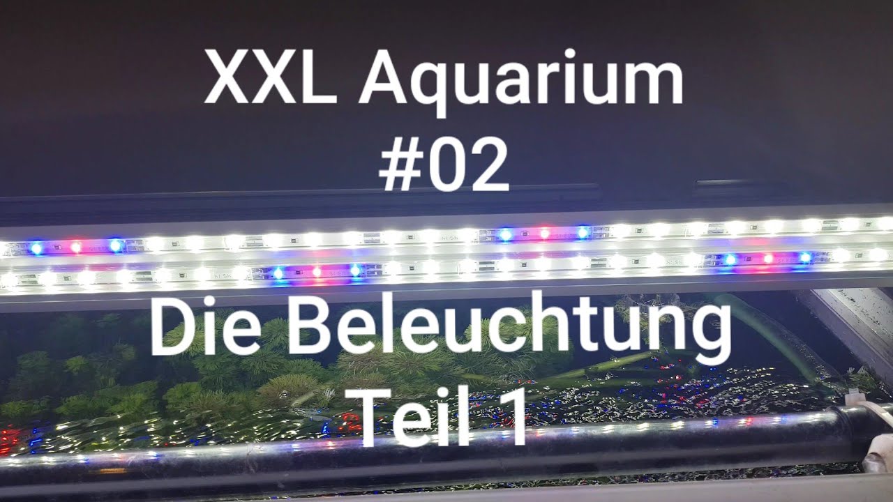Die Beleuchtung Teil 1| Eheim LED Stripes | XXL Aquarium #02