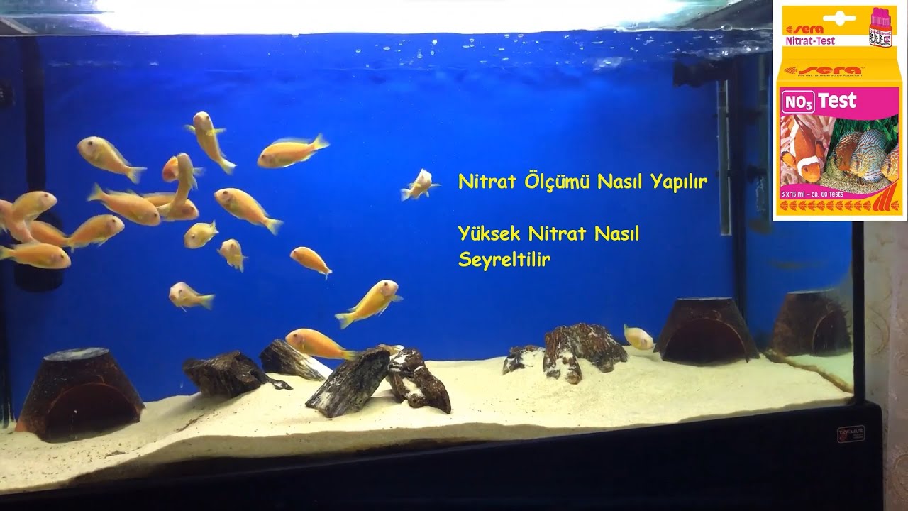 Sera NO3 Nitrat Ölçüm Kiti Nasıl Kullanılır. Yüksek Nitrat Nasıl Düşürülür.