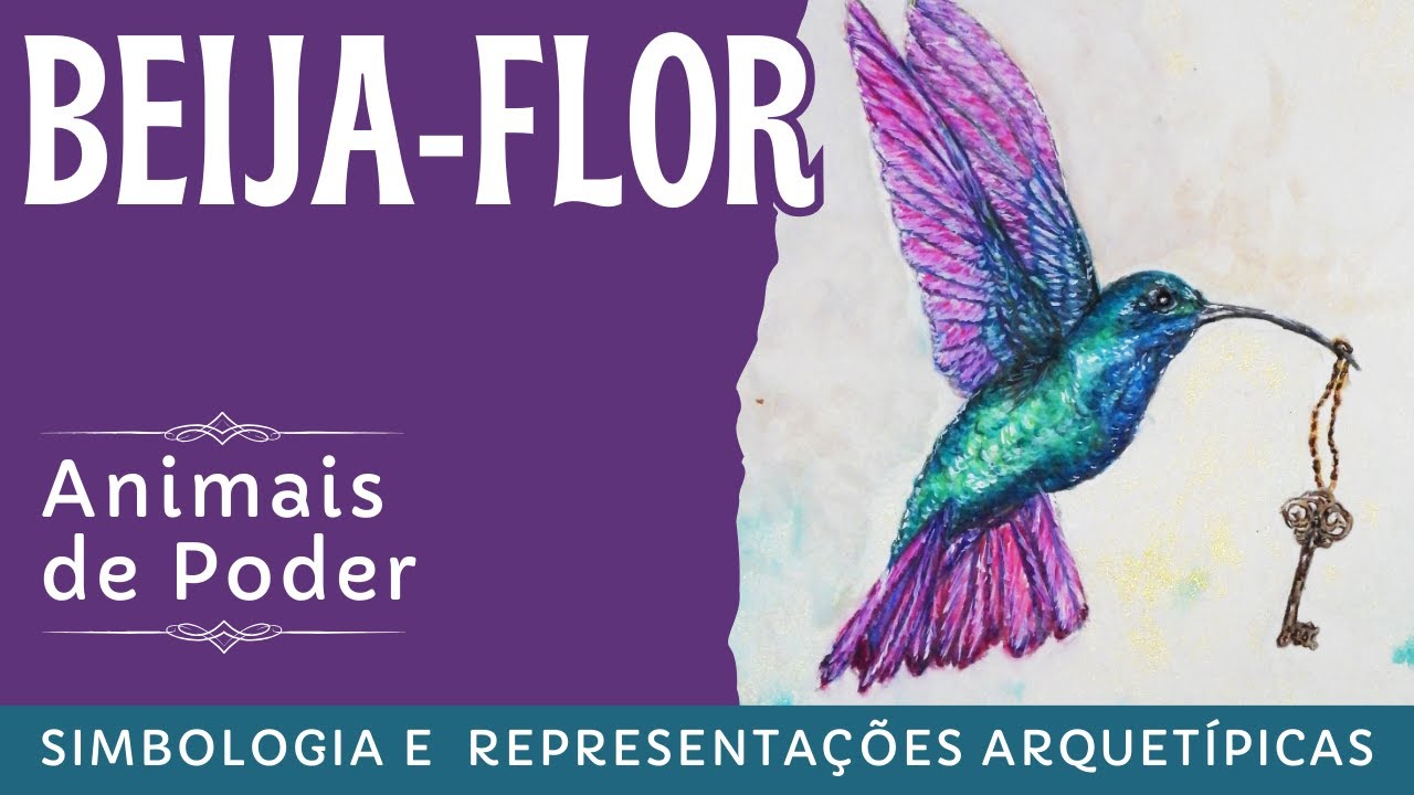 O beija-flor como animal de poder -  representações arquetípicas e simbologia