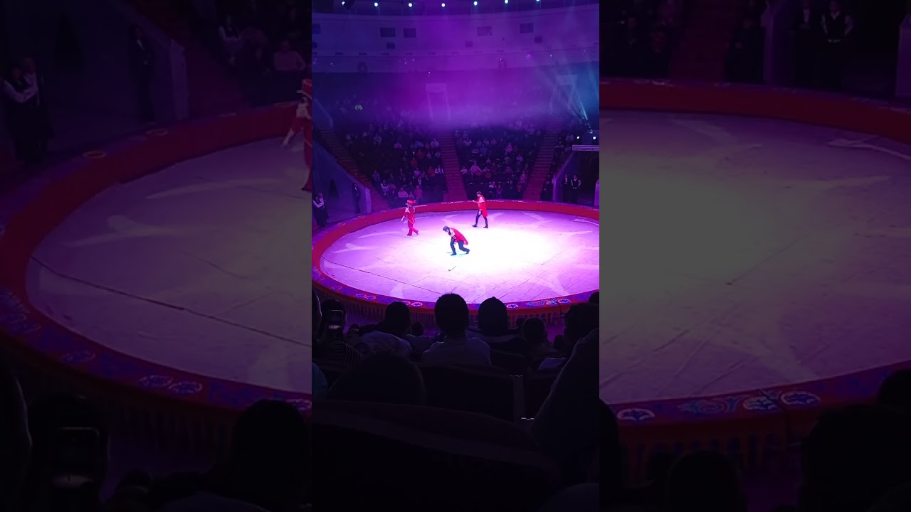 6 февраля 2026 г.