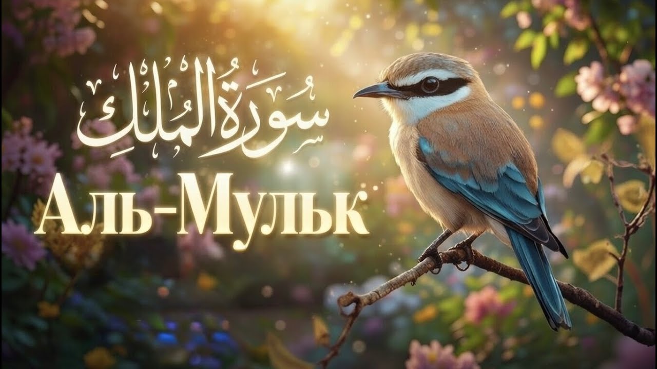 Сура - Аль-Мульк - (Власть) | Сура 67 | 30 аятов / Без Ai 😇