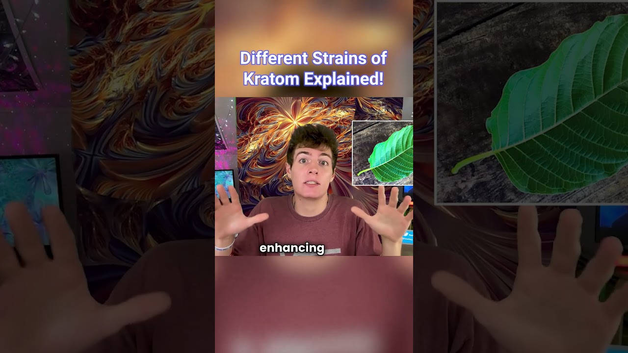 Different Strains of Kratom Explained!