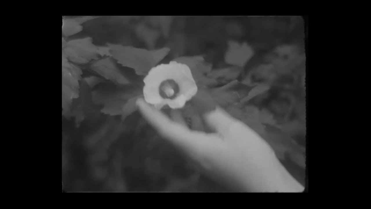 Hovvdy - Blindsided (Official Video)