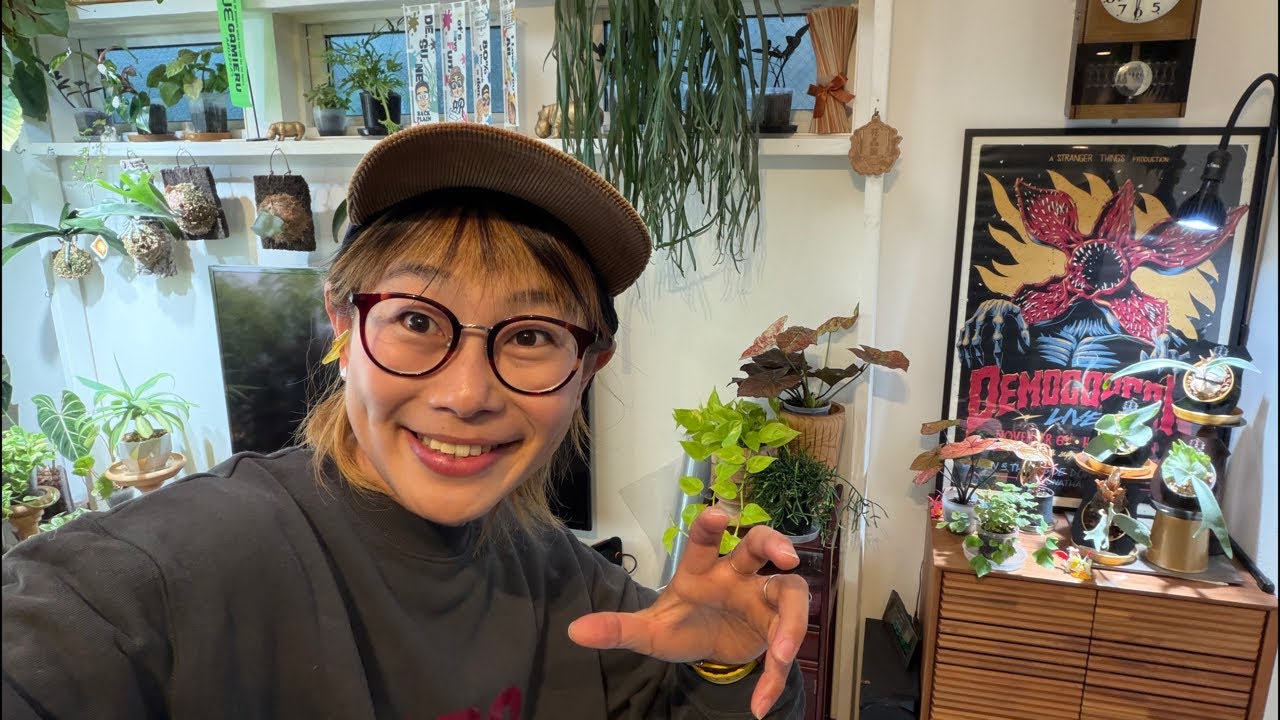 花森さん　3月3日morning LIVE🙂‍↕️