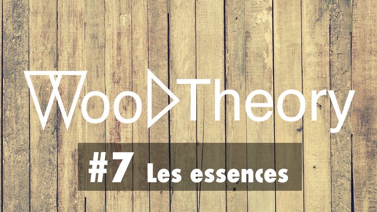 WT #7 - LES ESSENCES DE BOIS