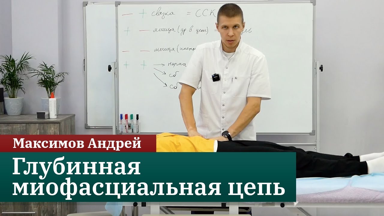 Глубинная миофасциальная цепь. Максимов Андрей