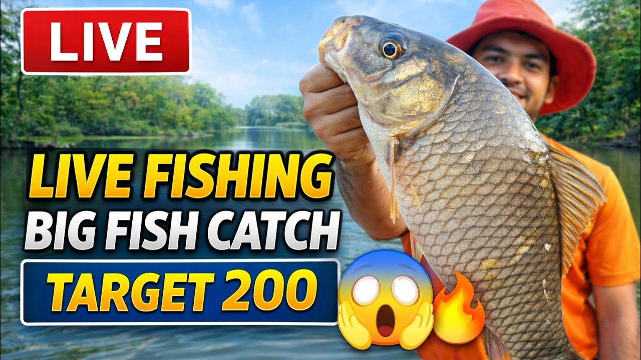 ! Outdoor fishing 🎣 fishing Pro 😉*