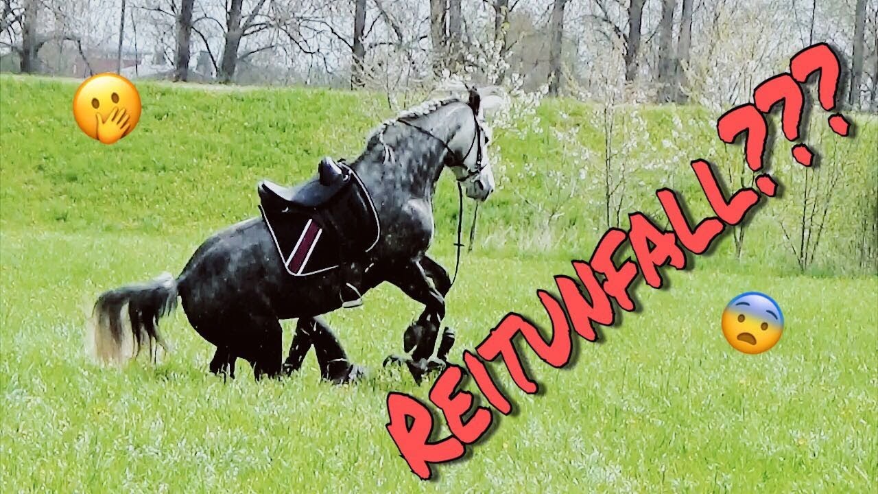Mein schlimmster Sturz! | Reitunfall?! [Infobox]