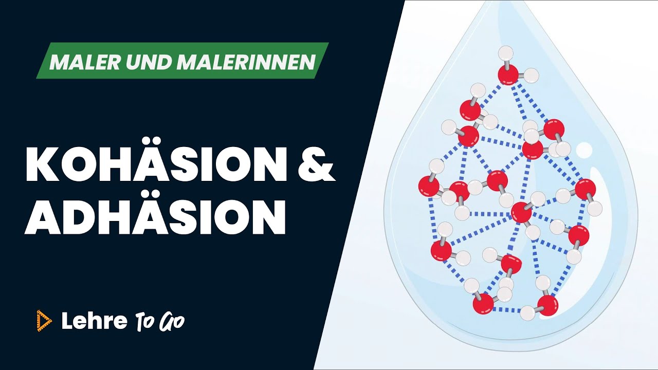 Koh&auml;sion und Adh&auml;sion | Lehre To Go