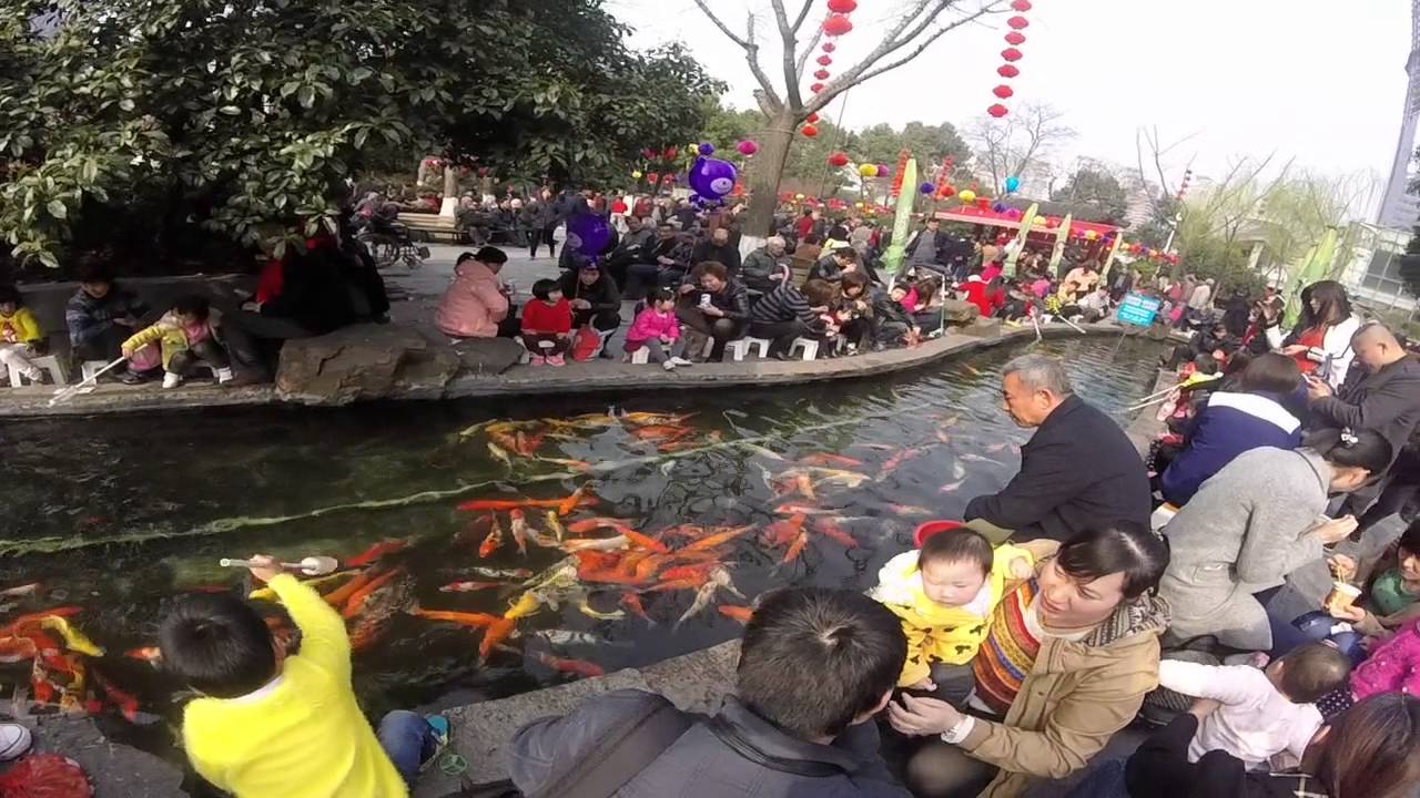 Claire & Anthony: The China TEFL Internship