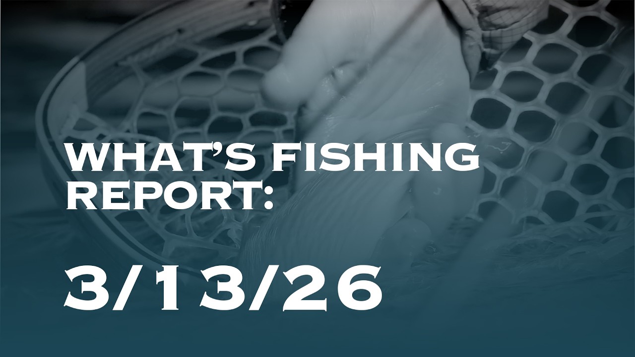 EWA What's fishing report 3-13-26