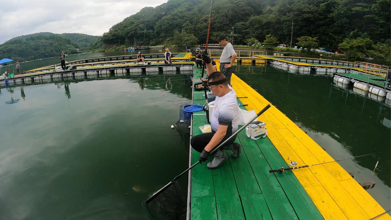 フィッシングランド日向 - Fishing Land Hiruga - 2025/08/12 -Vd2