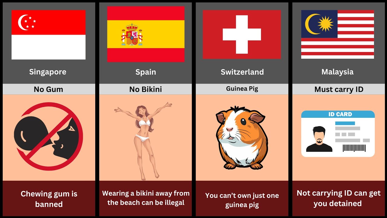 Mind-Blowing Laws From Different Countries 🤯