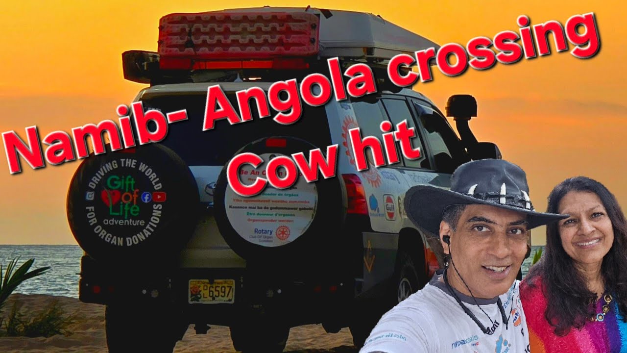 Two cows hit! Namibia Angola crossing, wild camping