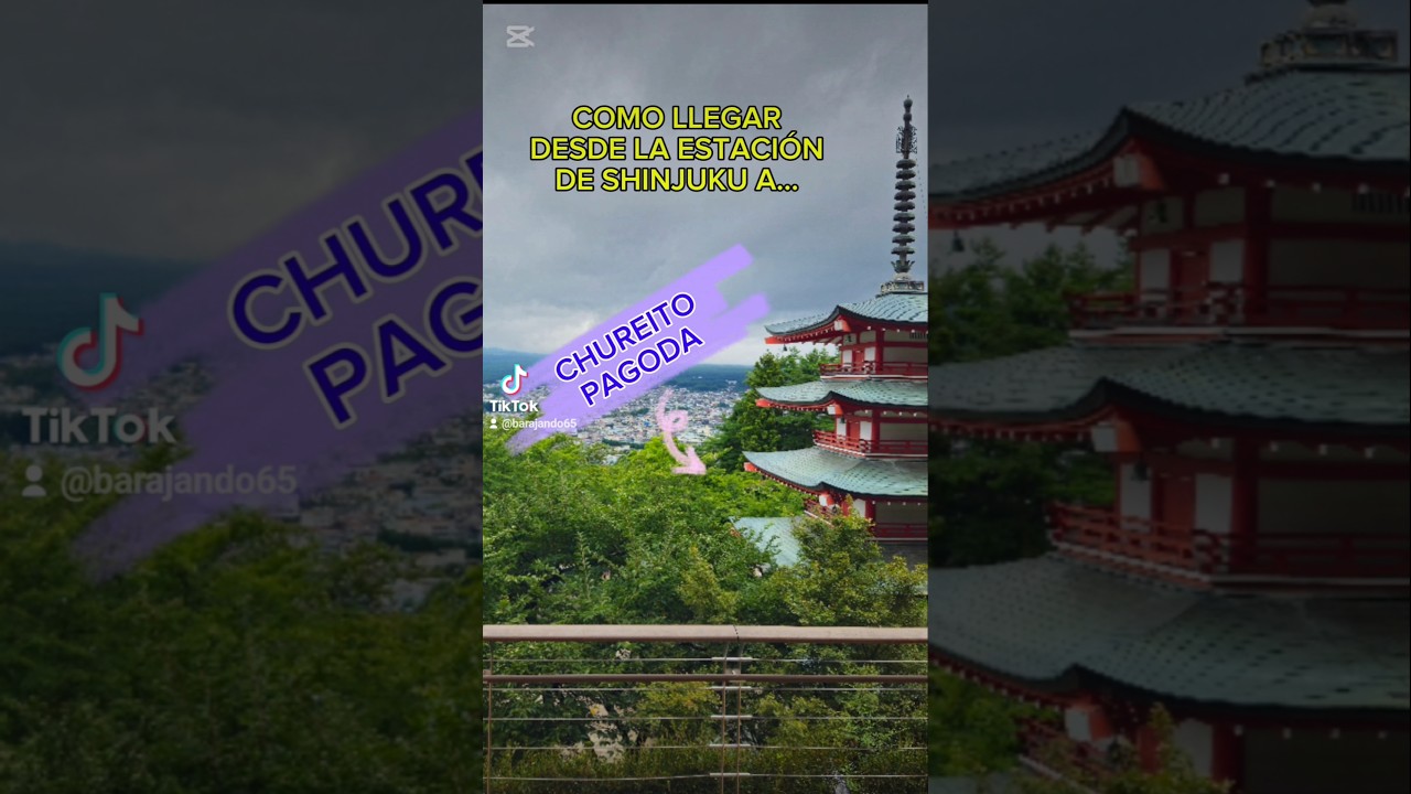 COMO LLEGAR DESDE LA ESTACI&Oacute;N DE SHINJUKU A CHUREITO PAGODA.