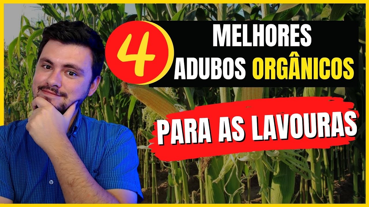 4 melhores ADUBOS ORGÂNICOS para economizar na lavoura