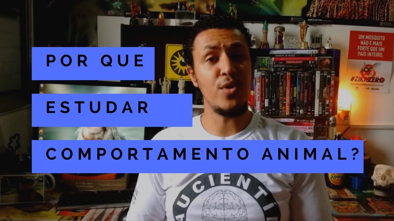 Por que  estudar comportamento animal?