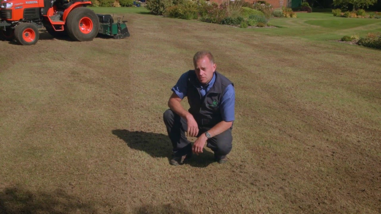 Lawn Aeration Process & Before/After