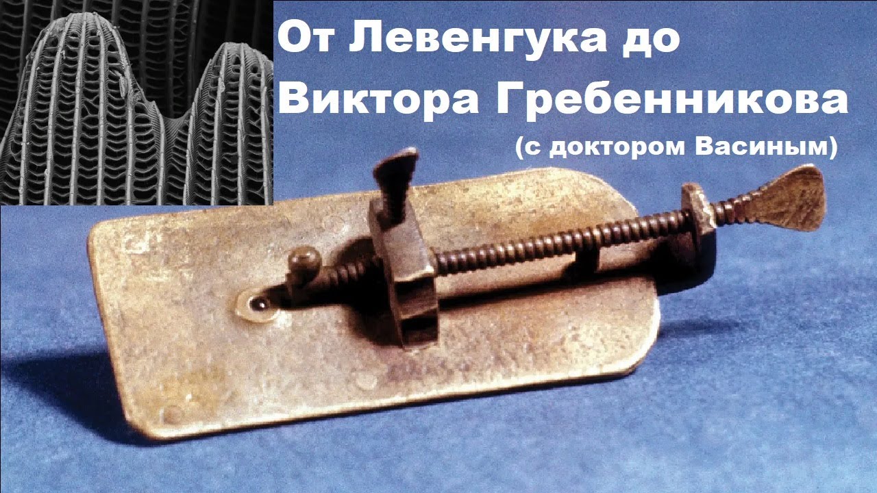 От Левенгука до Виктора Гребенникова (с доктором Васиным)