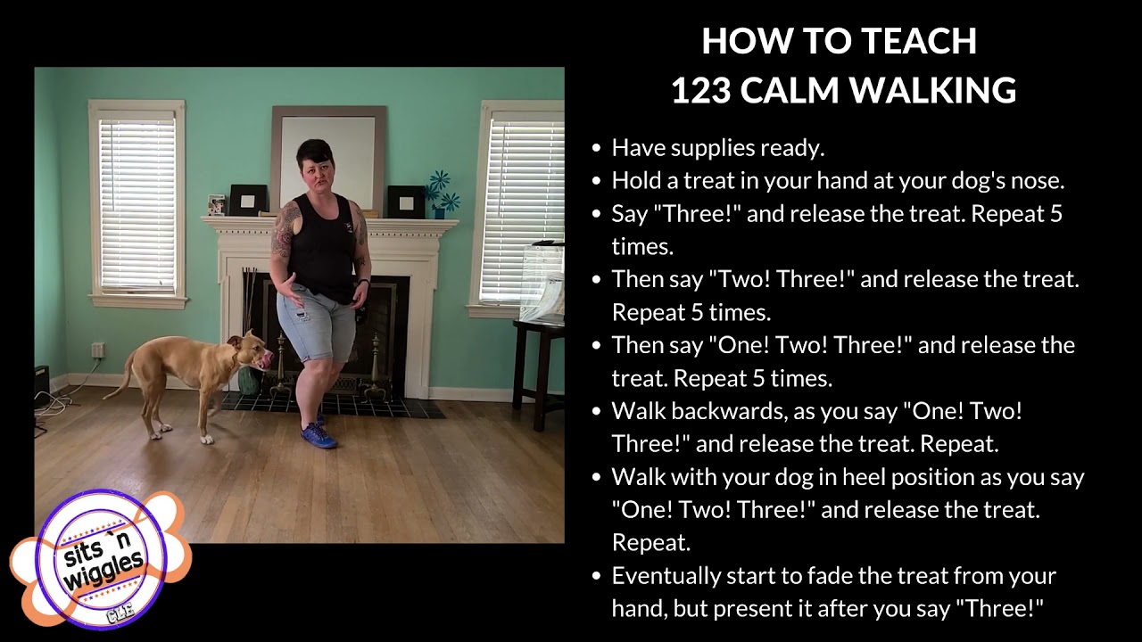 123 Calm Walking Pattern Game