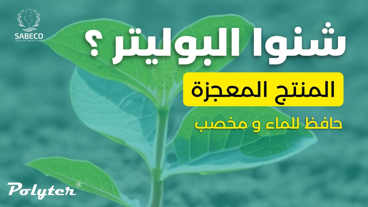 Polyter Tunisie - بوليتر: المنتج المعجزة الذي أثبت جدارته لأكثر من 30 عامًا