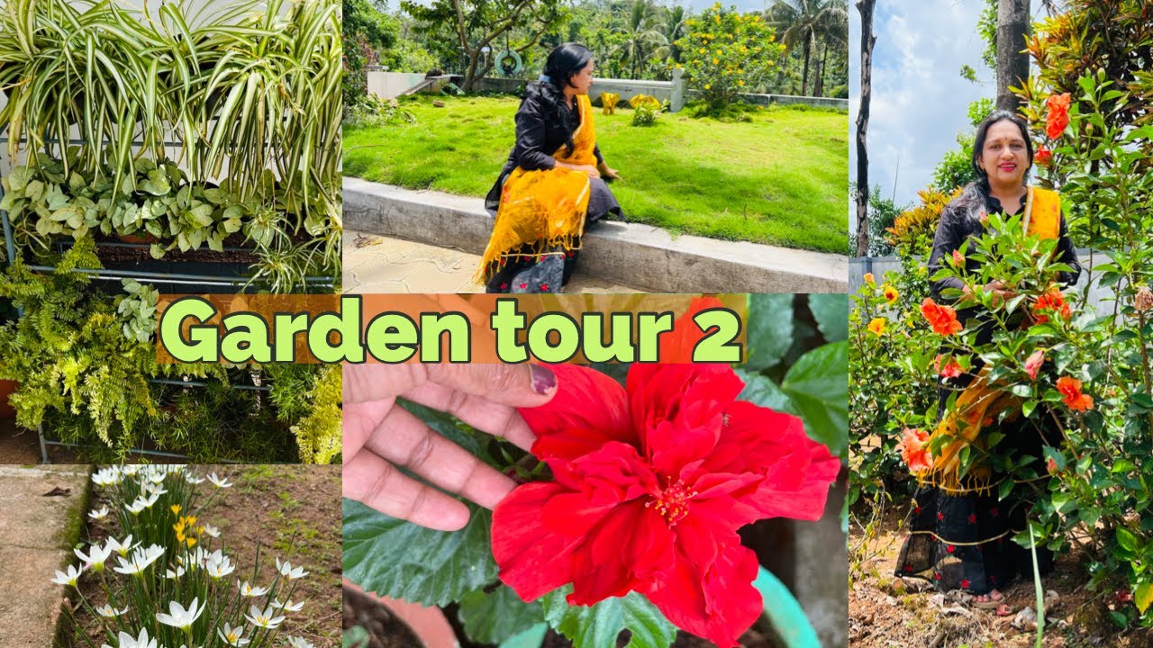 My Garden tour / Miss ಮಾಡದೆ ನೋಡಿ Garden tour part 2