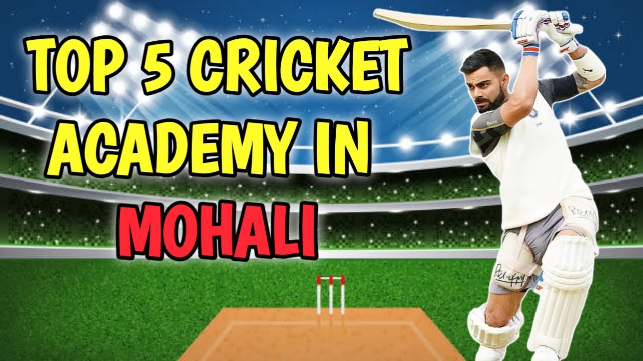 Top 5 cricket academy in mohali || mohali ke best cricket academy with fees and facilities 🏏🏏