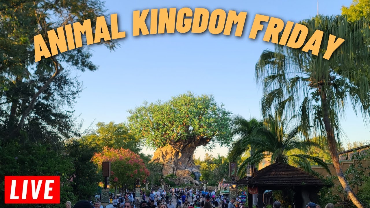 🔴 Live Disney's Animal Kingdom Rides and shows Friday at Walt Disney World 1/9/2026