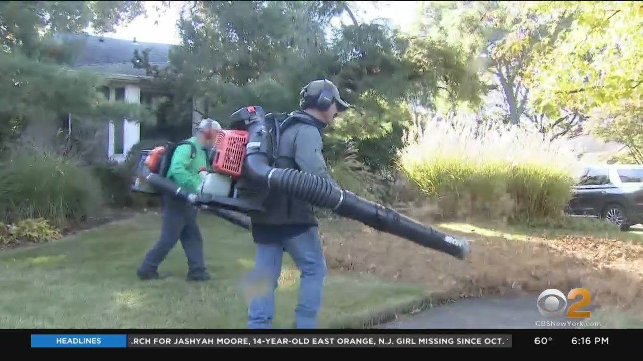Communities Banning Leaf Blowers Over Noise, Pollution
