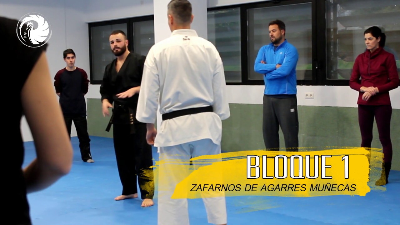 Defensa Personal aplicada al método Kõritsu Karate