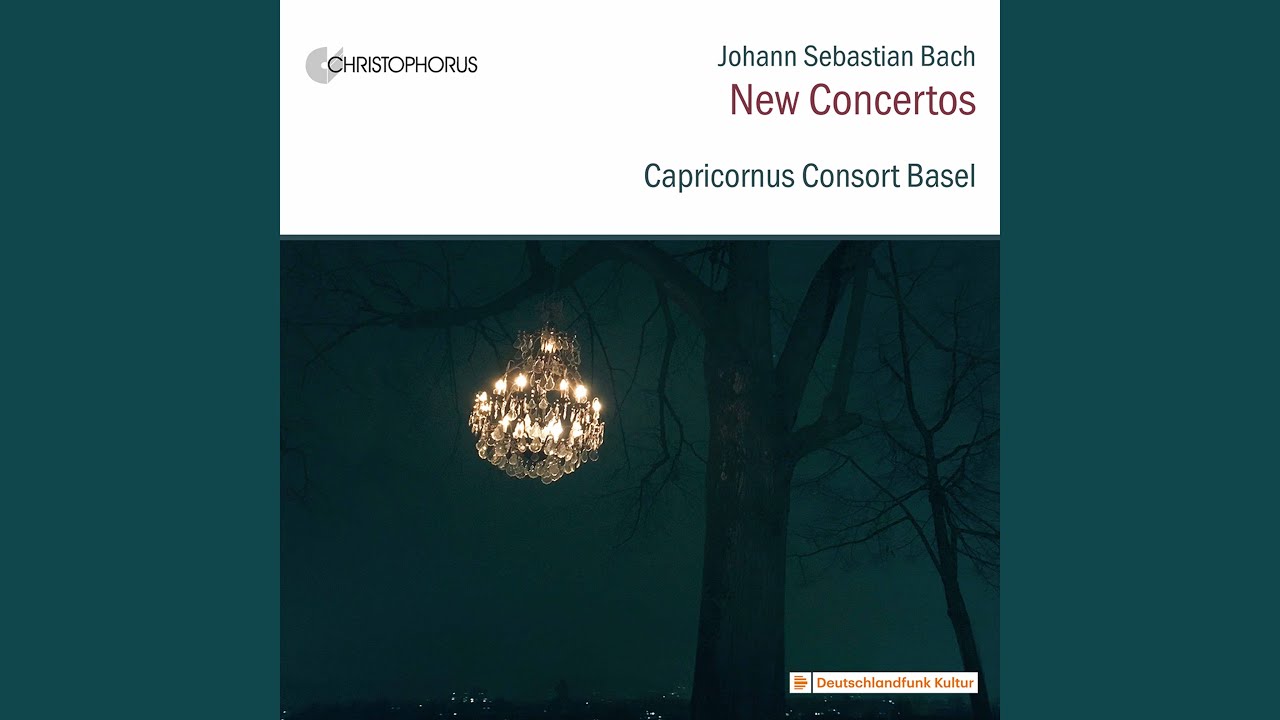 Prelude & Fugue in D Minor, BWV 539 (Arr. P. Barczi for String Ensemble) : II. Fugue