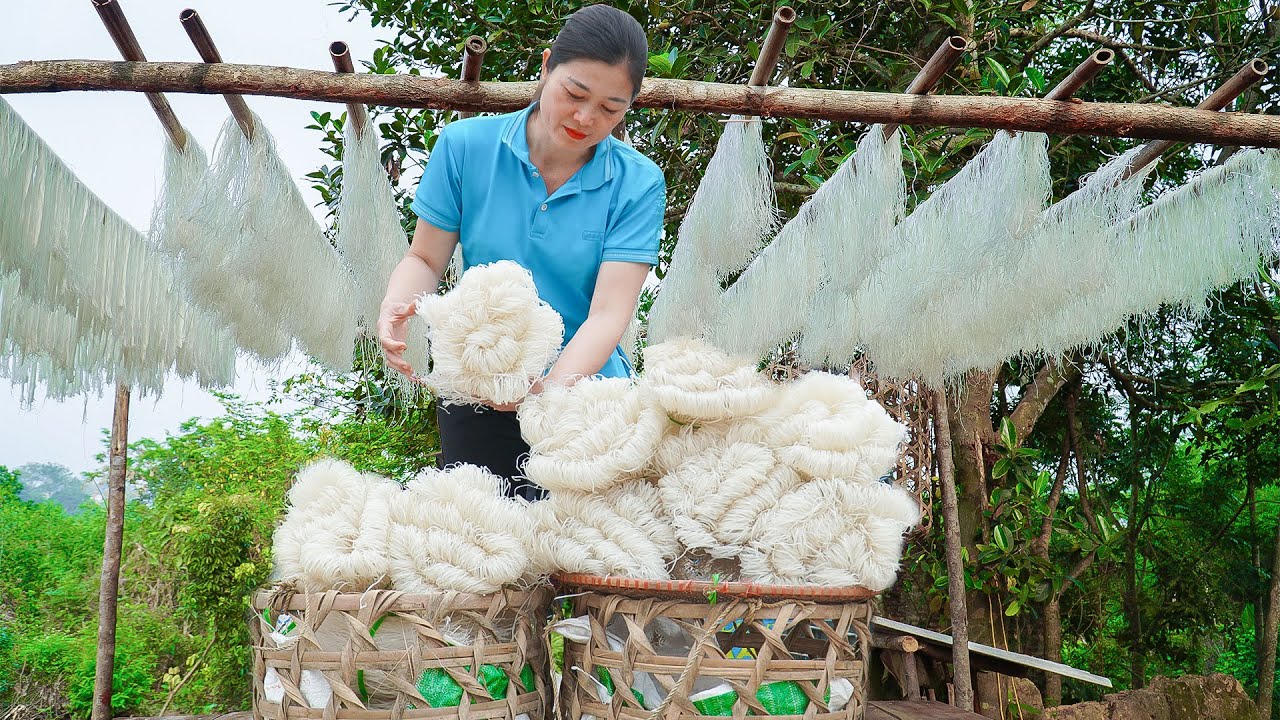 Rice Noodle Making Process - Harvest, Preserve and bring to the market to sell | Wild Forest Life