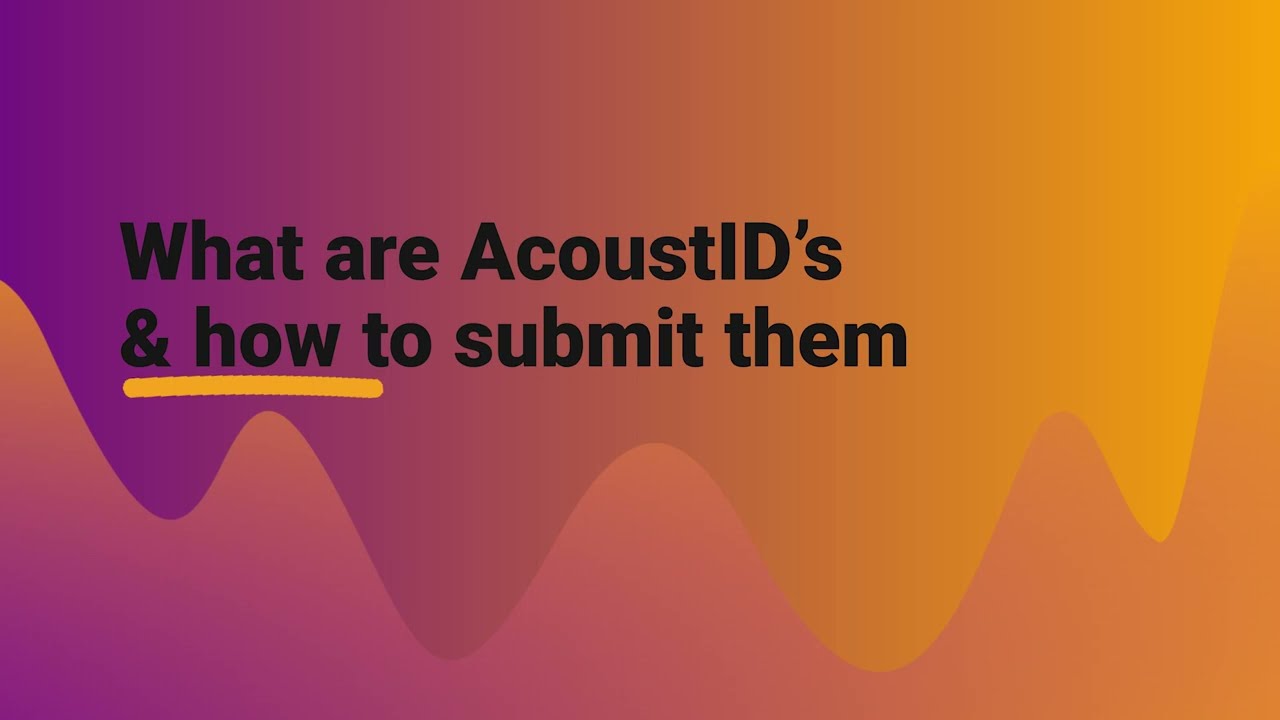 What are AcoustID’s and how to submit them