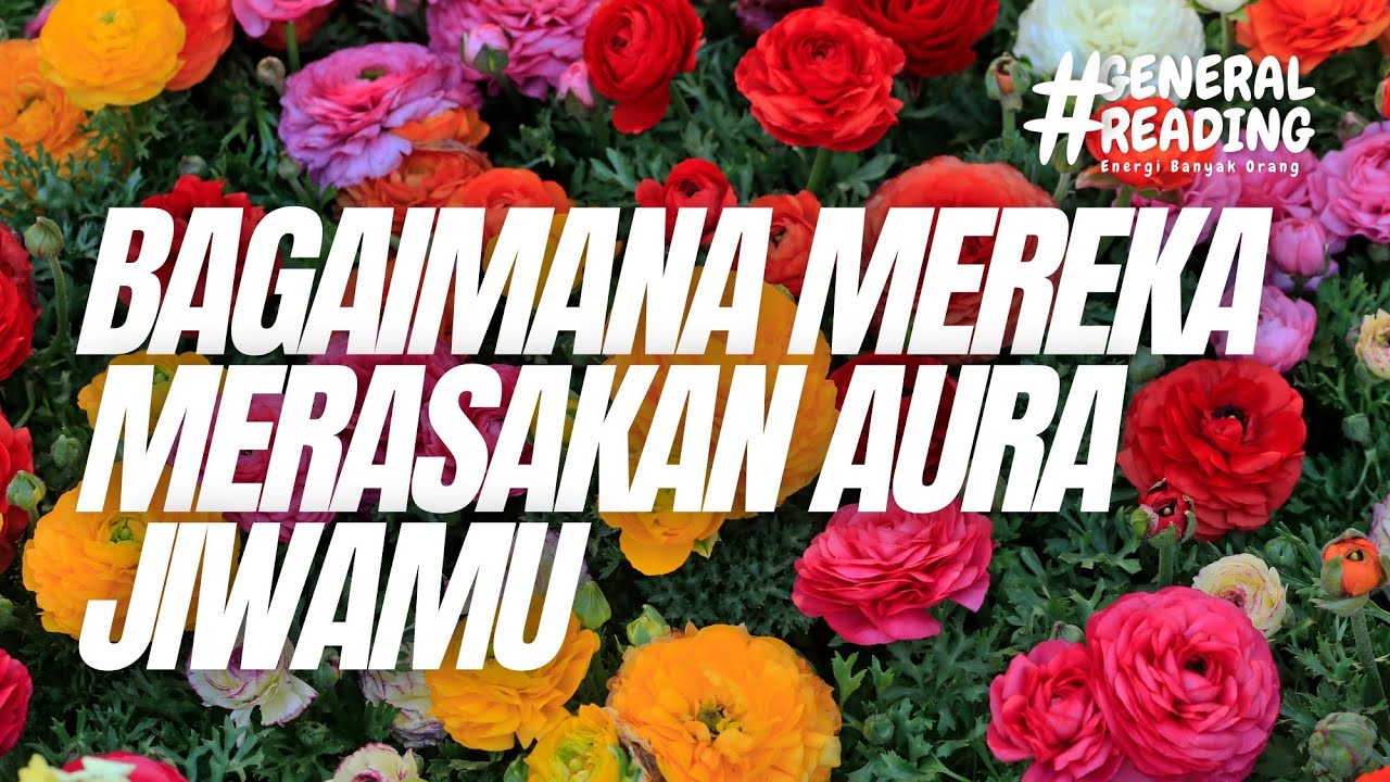 🌞 Wooow Luar biasanya kamu, gak nyangka mereka lihat kamu seperti ini #generalreading