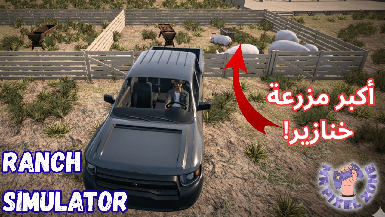 محاكي المزارع #13 : اشتريت سيارة جديدة… والخنازير قلبت حياتي! | Ranch Simulator