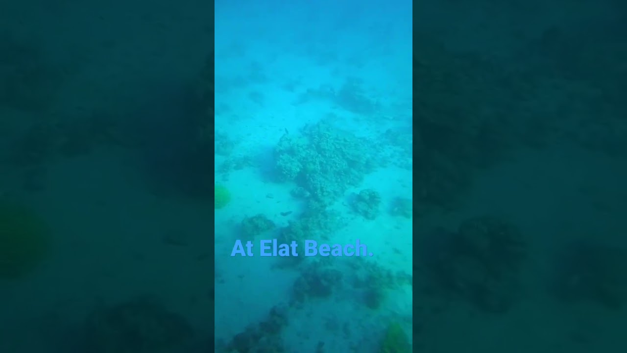 at Eilat Beach Israel