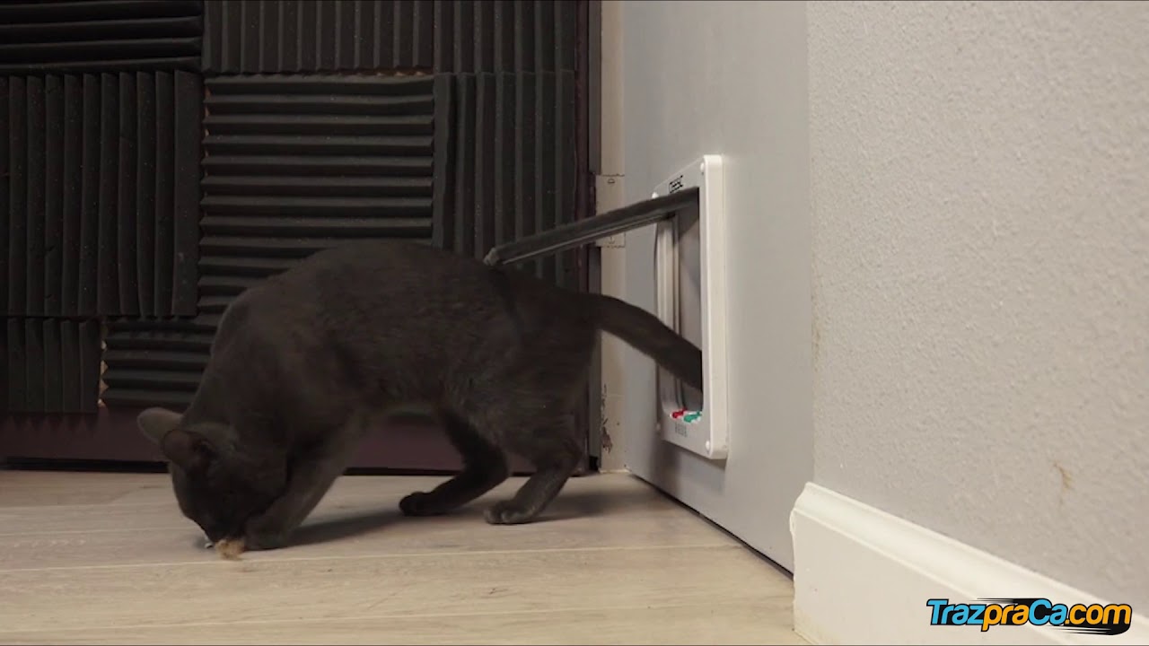 Porta para Cachorro e Gato SmartDoor