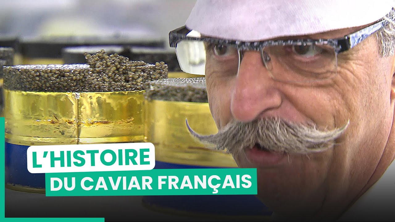 Comment le caviar les a sorti de la misère | 750GTV