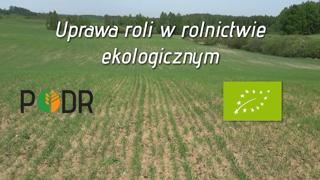 (ARCHIWUM 2016) Uprawa roli w rolnictwie ekologicznym