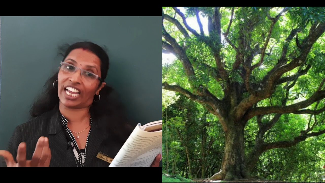 Class - 3 - MALAYALAM  CHAPTER - 14 - APPUPPAN MAAVU