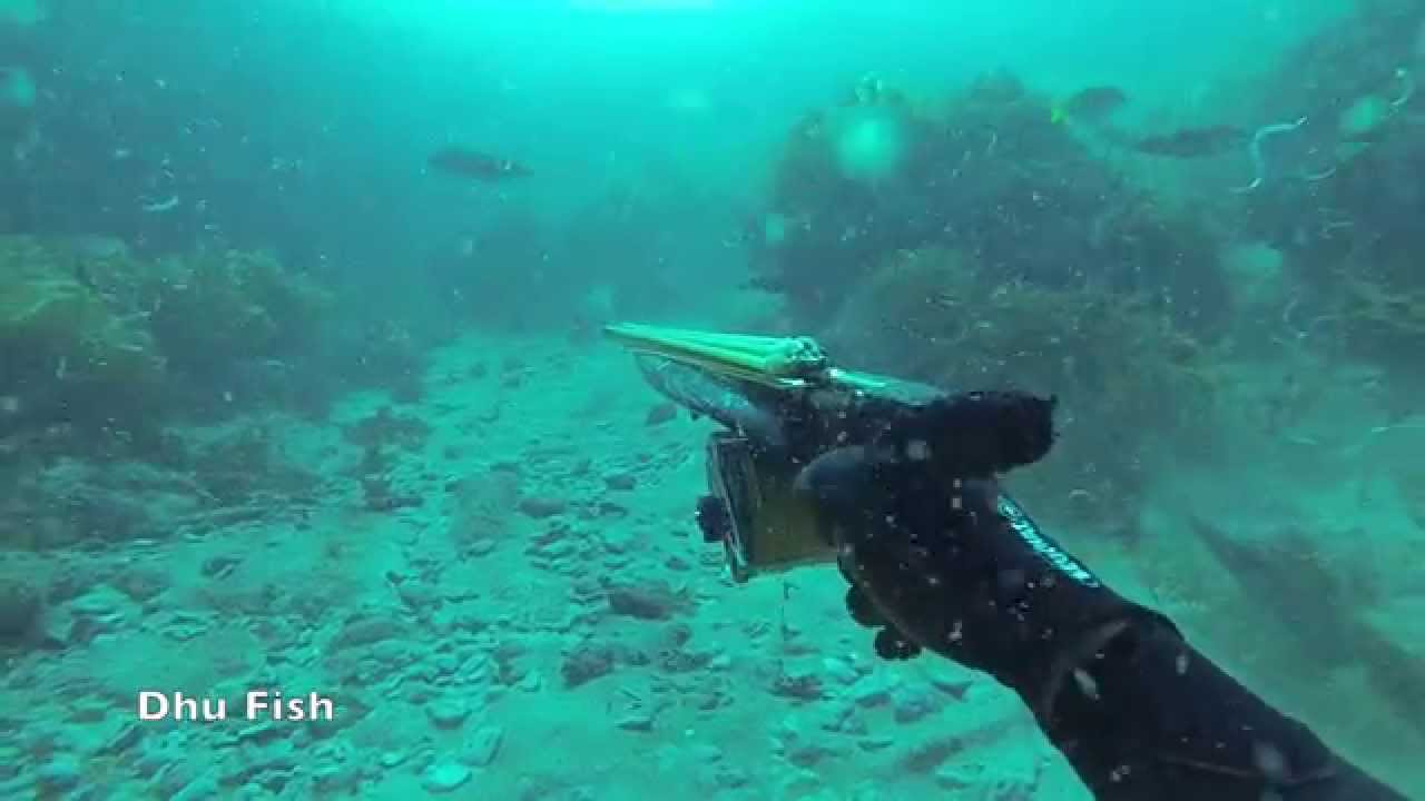 Spearfishing Western Australia's, Batavia Cost. Autumn 2015